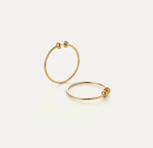 Jenny Bird Accessories | Earrings | The Icon Hoop in