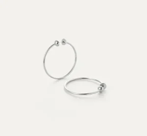 Jenny Bird Accessories | Earrings | The Icon Hoop In