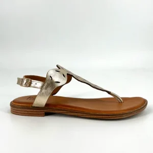 Lizzy Sandals | The Laser Cut Comfort Thong Sandal in