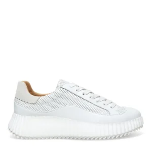 Silent D Sneakers | The Perforated Lace Sneaker in